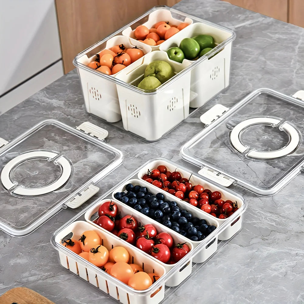 Modern plastic snack tray with lid and handles - Portable 2/4 compartment food storage box with window lid for travel Oasis Select