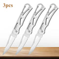 Folding Fruit Knife Stainless Steel Pocket Knife with Keychain Fruit Slicing Knives with Non-slip Handle Household Small Knife Oasis Select 3pcs