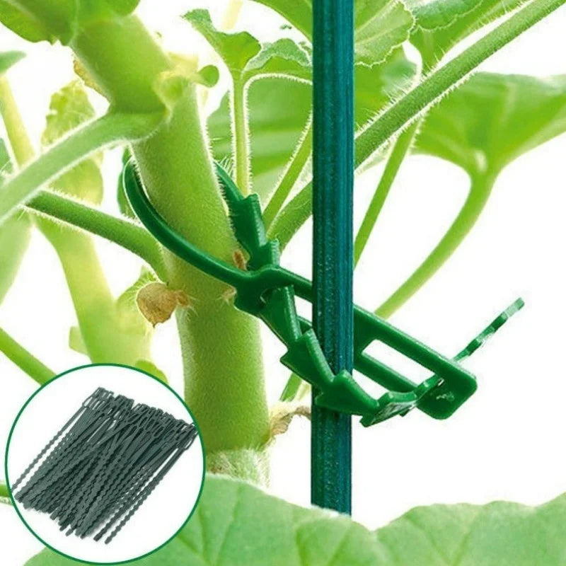 50pcs Adjustable Plastic Plant Cable Ties Reusable Cable Ties for Garden Tree Climbing Support Plant Vine Tomato Stem Clip Oasis Select