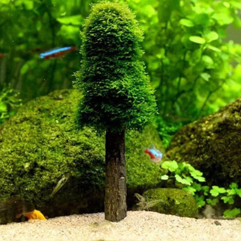 Aquarium Decoration Simulation Xmas Moss Christmas Tree Plant Grow Aquarium Tank Landscape Decor Fish Tank Aquarium Landscaping Oasis Select