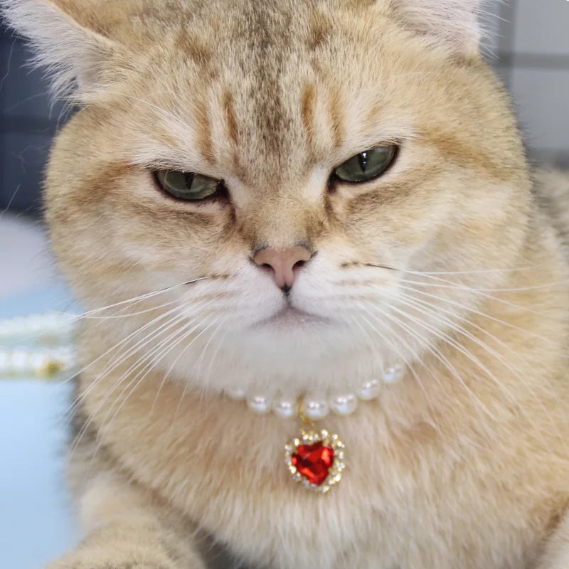 Cute Fashion Pet Supplies Cat Accessories Necklace Pearl Crystal Pet Collar Pearl Beaded Solid Crystal Pendant Pet Products Oasis Select