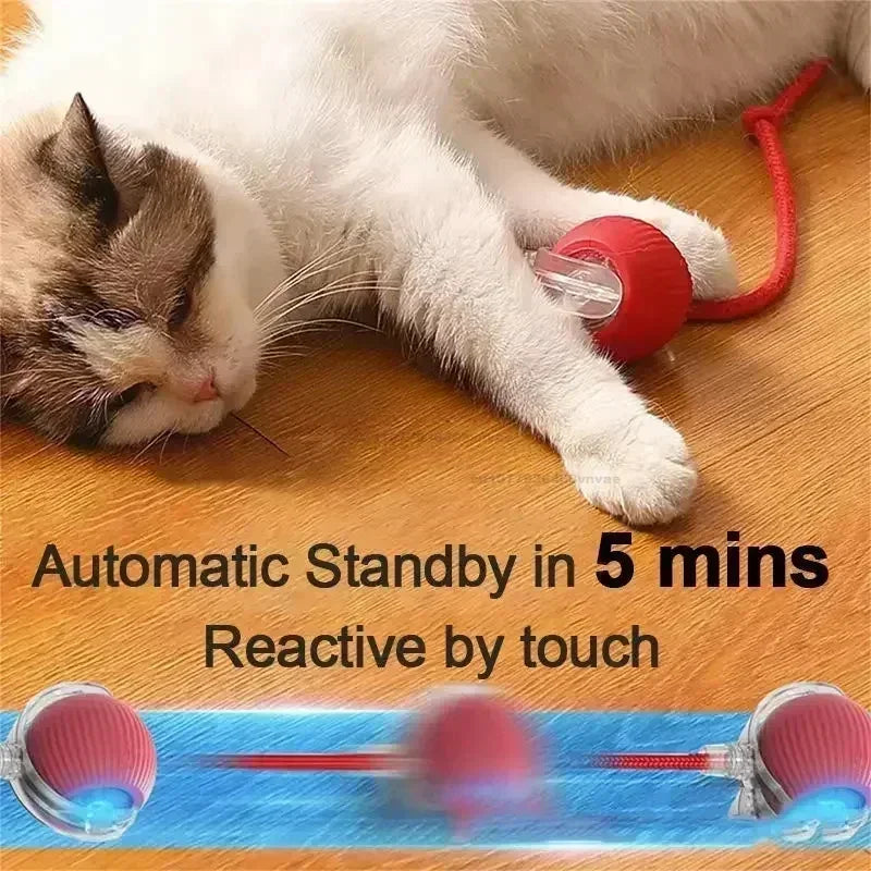 Electric Cat Ball Toys Automatic Rolling Ball Faux Tail Rechargeable Pet Interactive Toy Dog Cat Training Imitate Mouse Pet Toys Oasis Select