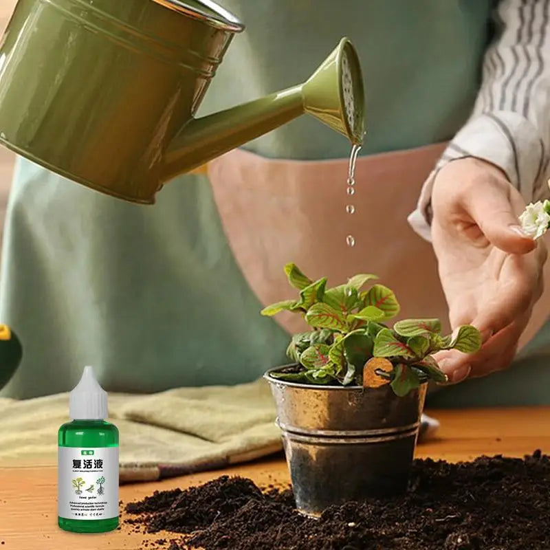 Plant Revitalizer Resurrection Liquid 50ml Fertilizing Liquid Concentrate Fertilizing Liquid Concentrate Plant Promotes Growth Oasis Select