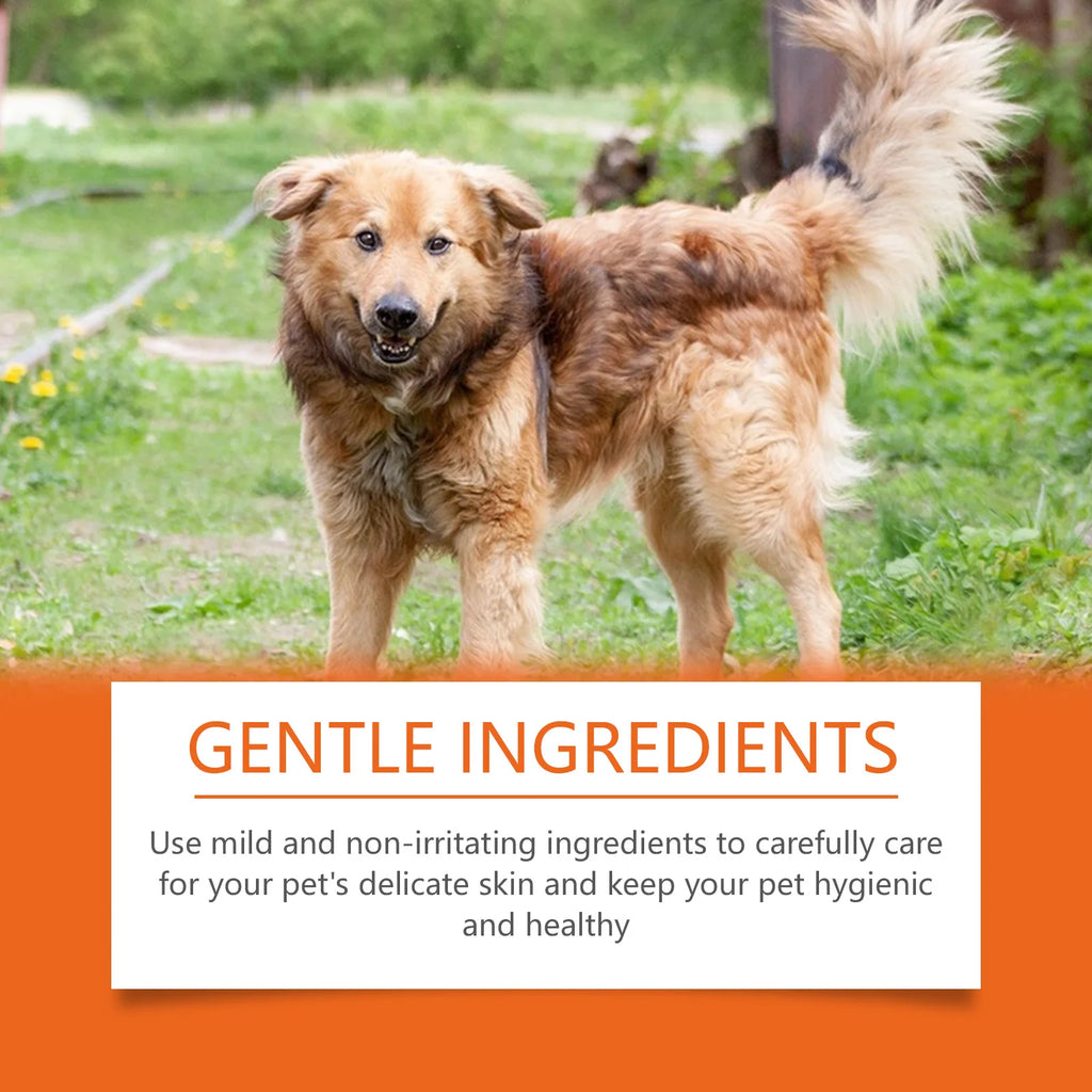 Pet Wipes Remove Dirt Stain from Pets Eliminating Odors Cleaning Hair Keep Fresh Moisturizing Soothing Portable Pet Wipes 10PCS Oasis Select