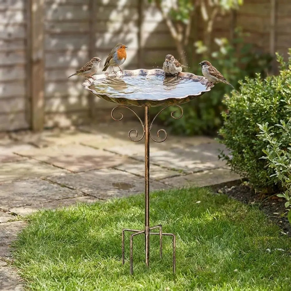 Retro Iron Bird Bath Feeder – Freestanding 5-Pronged Base
