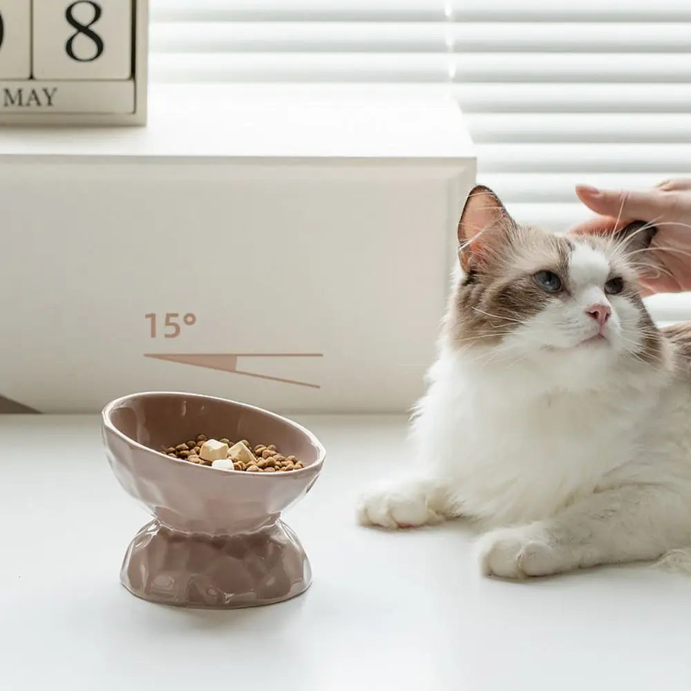 Ceramic Cat Bowl Slanted/Flat Mouth Multi-use Dog Food Feeding Basin Non-slip Anti Tipping Pet Drinking Feeder Kitten Puppy Oasis Select
