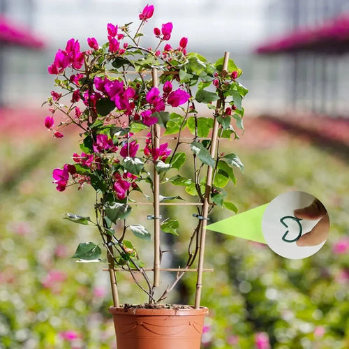 100pcs Plastic Plant Garden Clips Efficient Double Planting Support Grippers Reusable Convenient Lever Loop Clamp Oasis Select