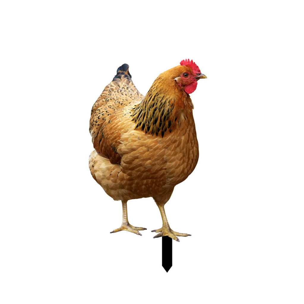 2D Flat Garden Statues Ornaments For Hen Chicken Decorations Sculptures Yard Art Outdoor Decorations Rooster Statue Art Deco Oasis Select 1PC 1 One Size