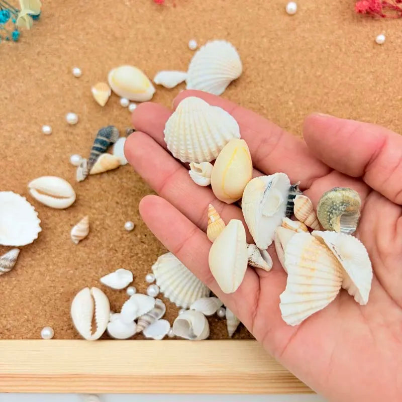 1 Box Mix Resin Simulation Pearls Shell For Home Decoration DIY Craft Photo Frame Friend Gifts Drift Bottle Aquarium Decorations Oasis Select