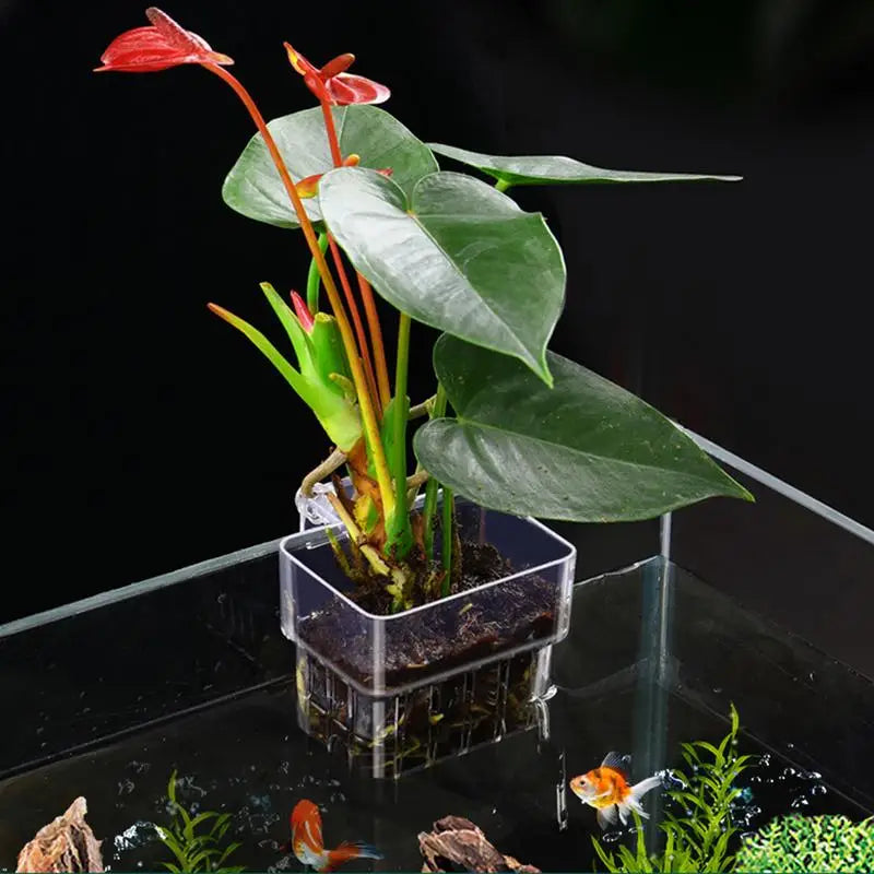 Fish Tank Plant Holder Aquarium Plant Basket with Hook Fish Tank Plant Cup Aquatic Plant Cup Aquarium Decorations Plants Pot Oasis Select