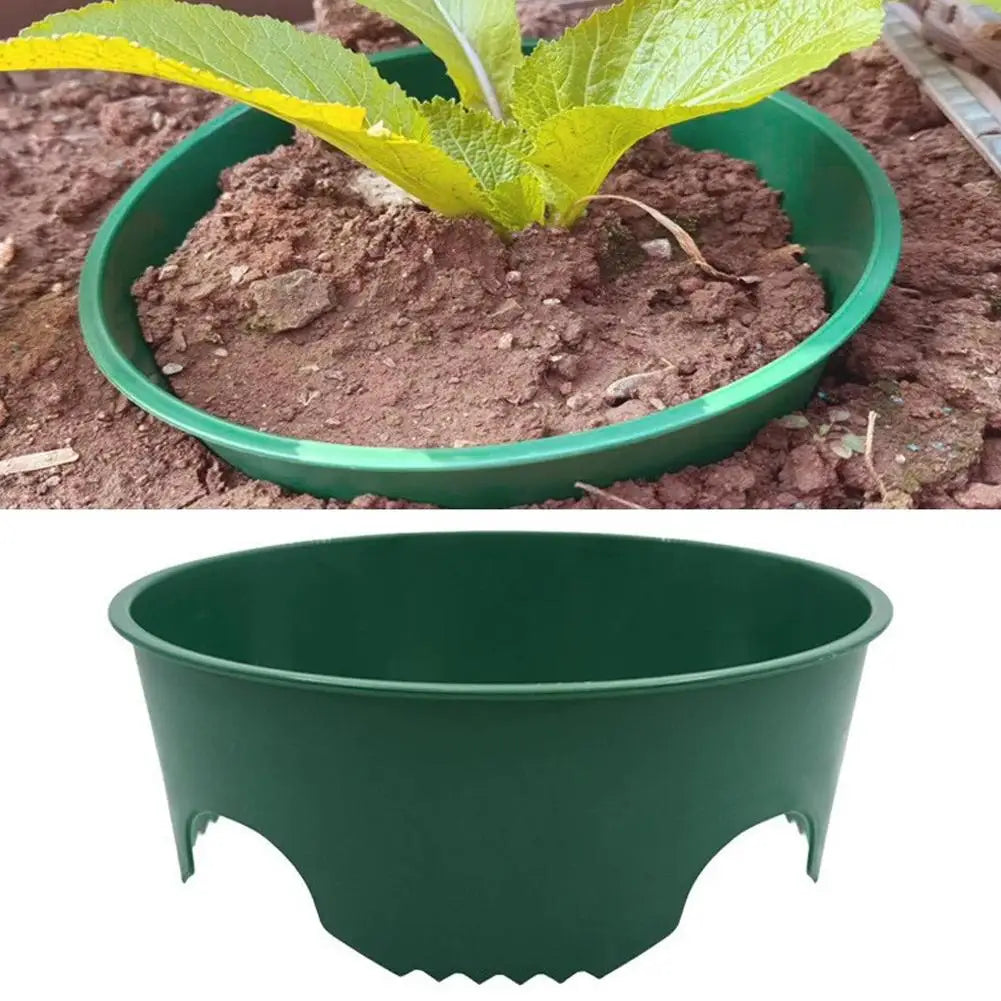 Green Plastic Plant Support Ring – Seedling Pot Holder 22cm