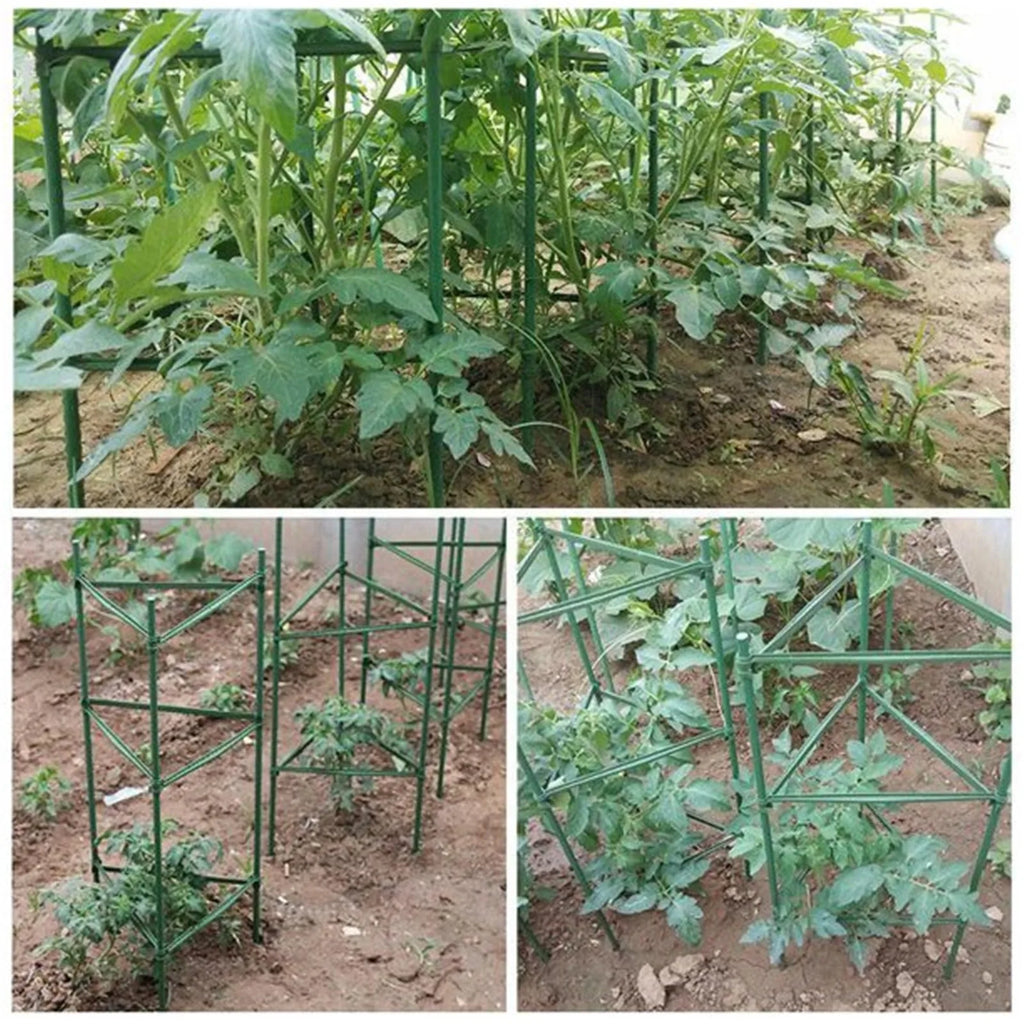 24pcs Garden Vegetable Stakes Plant Cages To Support Plant Growth Anti Overturning Tomato Cages For Vertical Climbing Of Plants Oasis Select