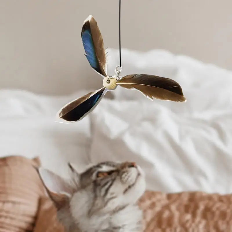 Cat Feather Toy Refill Interactive Cat Toy Cat Feather Wand Set of 6 Wear-Resistant Cat Feathers Refill Toys Interactive Teaser Oasis Select