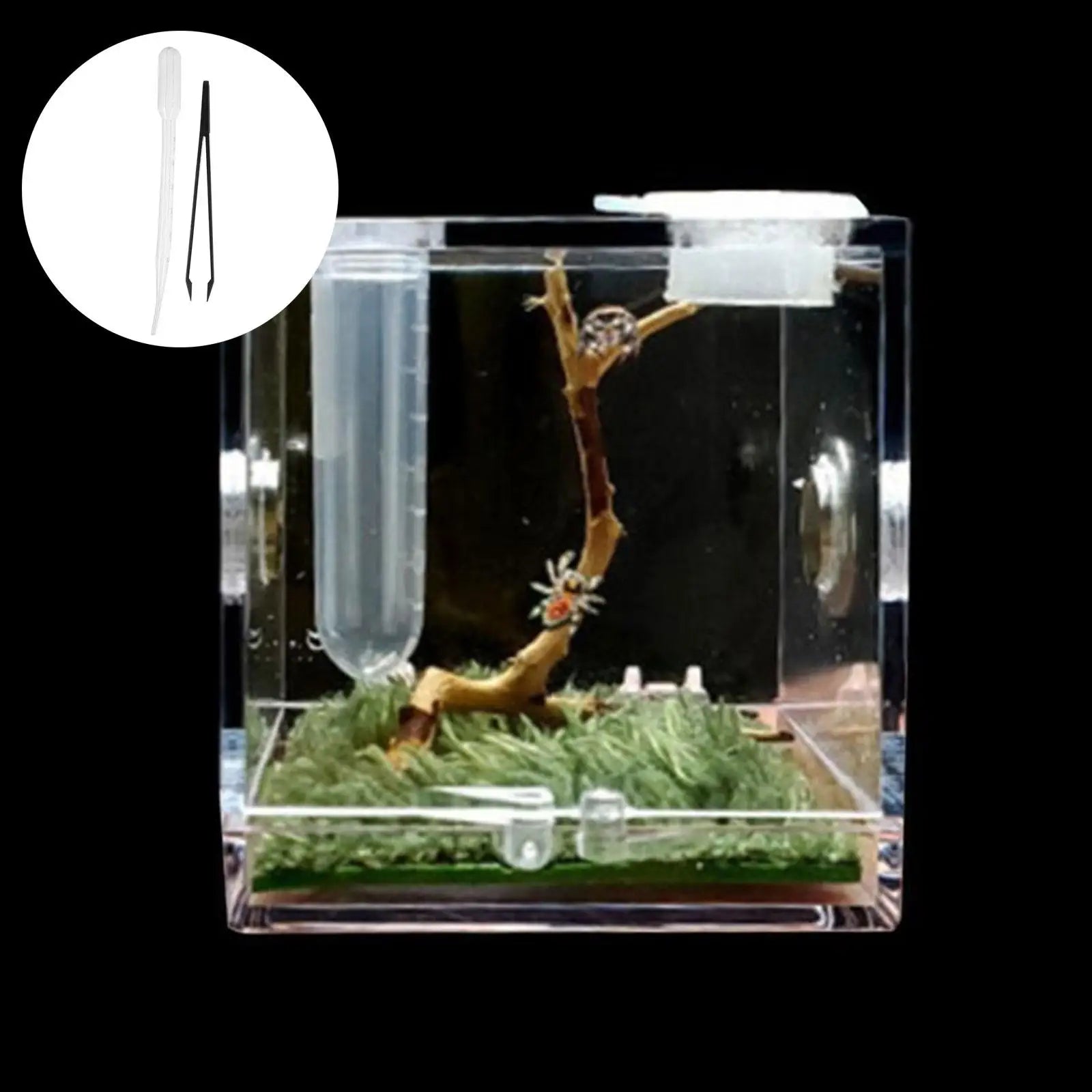 Small Reptile Feeding Box Transparent Acrylic Jumping Spider Breeding Box Habitat Small Insect Container Humidifier Feeding Box Oasis Select