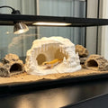 Ice Cave Reptile Hideout Terrarium Decor Gecko Lizard Snake Shelter with Ladder 3D Printed Habitat Ornament for Amphibians Oasis Select S11X11X6cm