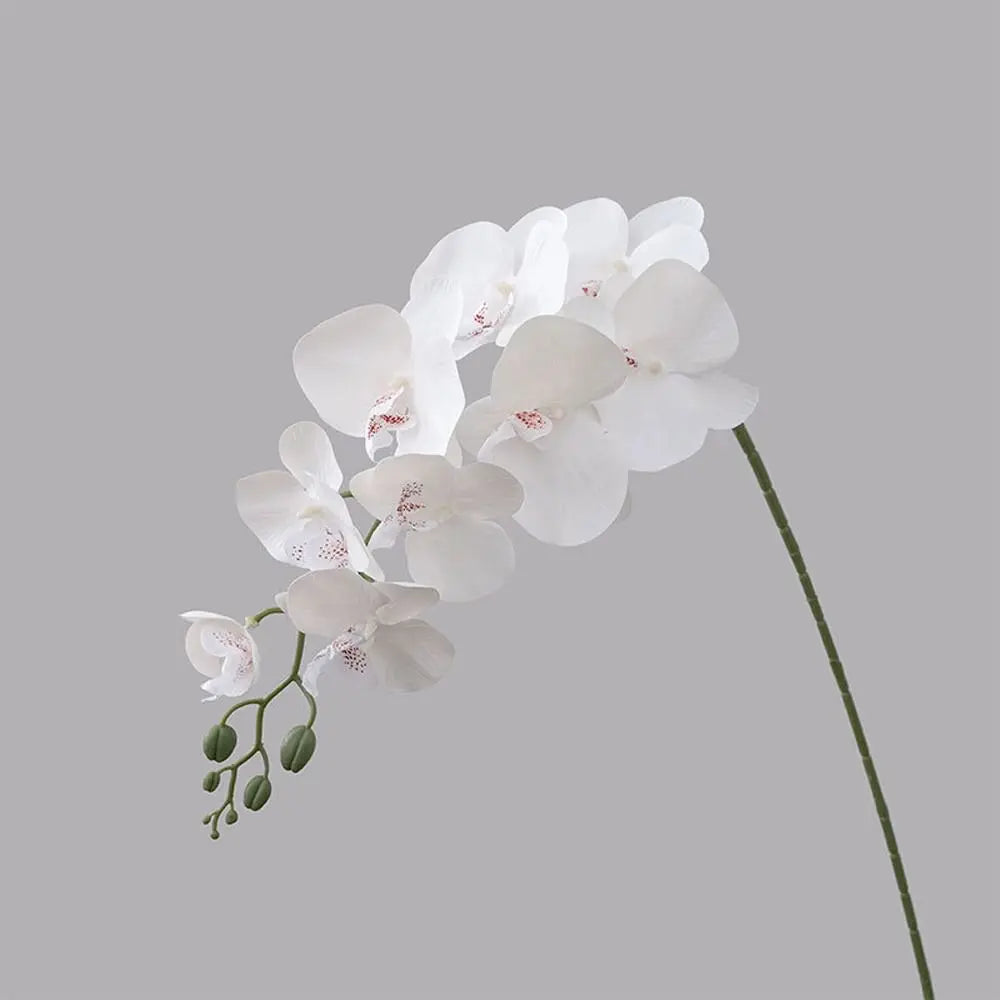 9-Head Artificial Phalaenopsis Orchid Branch | Real Touch Flowers