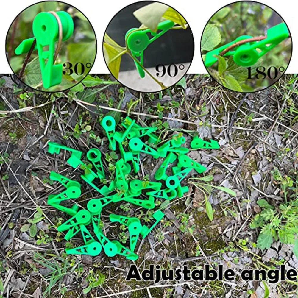 360 Degree Adjustable Plant Branch Bending Clips for Gardening Stem Low Stress Training Tool Horticulture Bender Equipment Oasis Select
