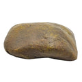 Hiddens Rock Key Box Fake Rock Simulate Stone Key Case Waterproof Fake Rock Key Hiders Lock Box Resin Simulated Stone Key Case Oasis Select box