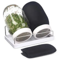 2026-WISH Sprouting Kit For Growing Broccoli, Alfalfa- Includes 2 Wide Mouth Quart Jars With Screen Lids, 32 Oz, Stand And Brush Oasis Select As Shown