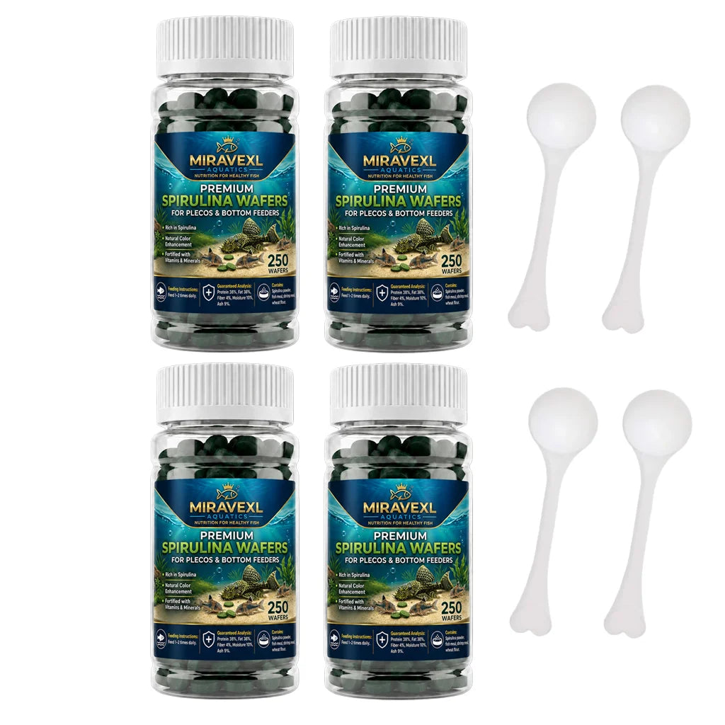High Purity Spirulina Sinking Tablets: Premium Seaweed Aquarium Food for Bottom Feeders, Plecos, Corydoras & Red Shrimp. Oasis Select 1000 tablets