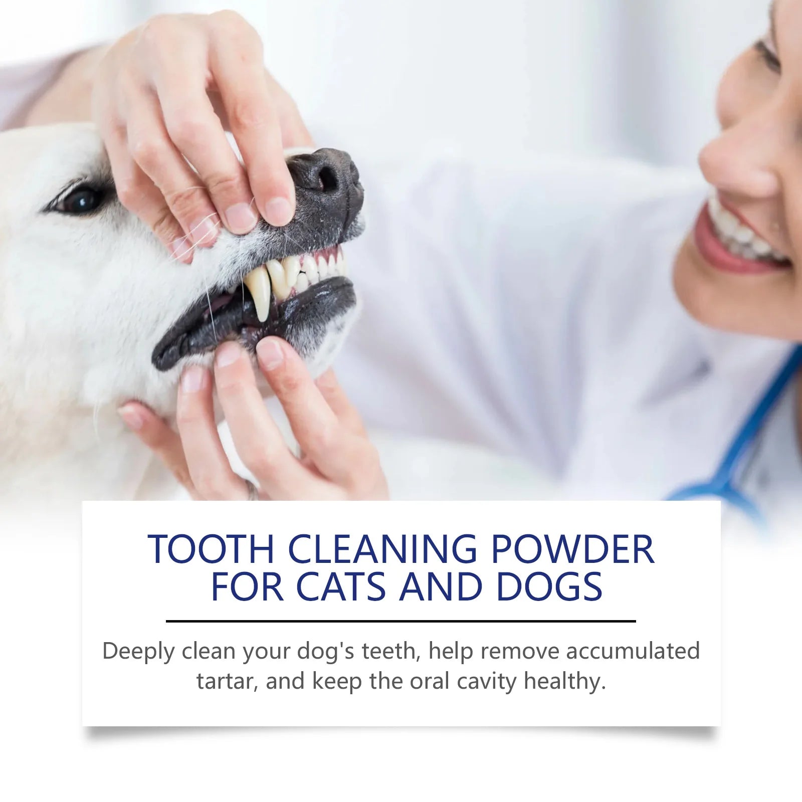 Pet Teeth Cleaning Powder for Dog and Cat Teeth Cleansing Remove Tartar Odor Reduce Bad Breath Keep Fresh Pet Dental Care 40g Oasis Select