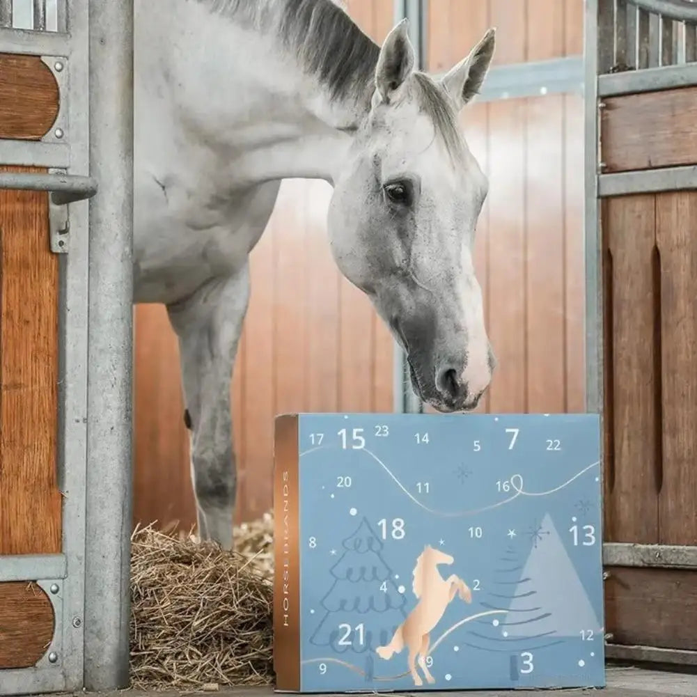 HORSEBRANDS Advent Calendar 2025 24 Days Countdown Surprises Gifts (7*Equipment, 9*Care, 5*Fashion, 3*Lifestyle) For Horse Love Oasis Select