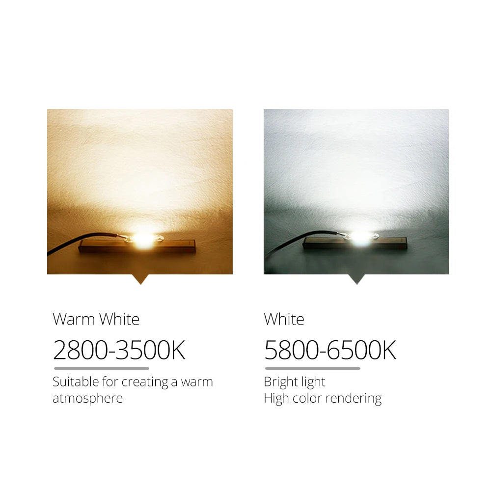 COB LED Chip 20W 30W 50W AC 110V/220V No Driver DIY Flood Light COB LED Chip Oasis Select