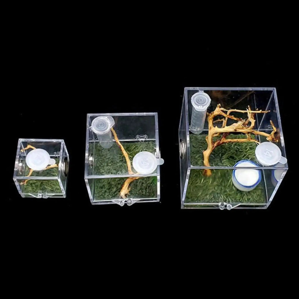 Small Reptile Feeding Box Transparent Acrylic Jumping Spider Breeding Box Habitat Small Insect Container Humidifier Feeding Box Oasis Select