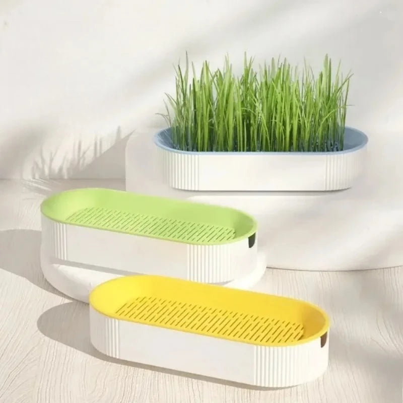 1pcs Pet Supplies Cat Snacks Catnip Planting Hydroponic Box Catgrass Basin Hydroponic Catgrass Box Set Oasis Select