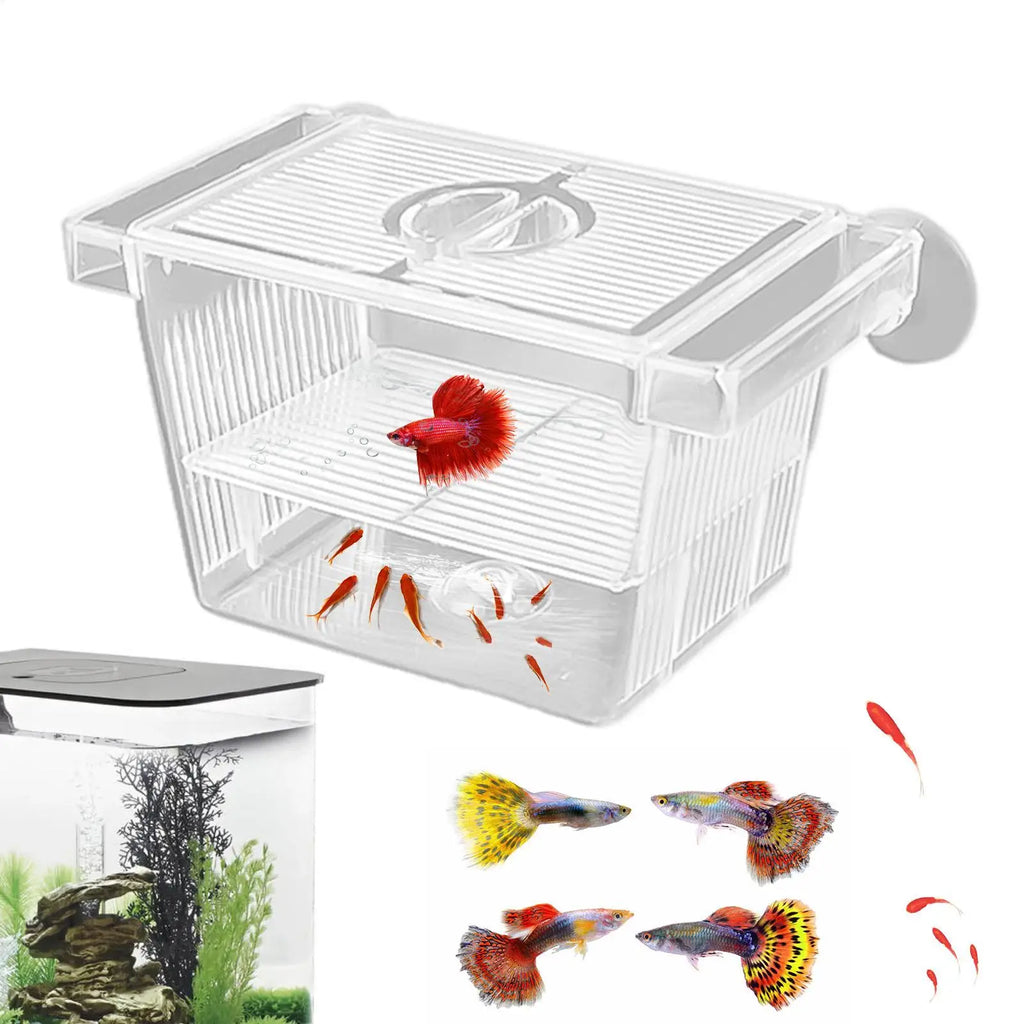 Aquarium Fish Breeder Box Clear Betta Fish Tank Fish Breeding Isolation Box Hatching Incubator Box For Baby Fish Shrimp Trap Box Oasis Select