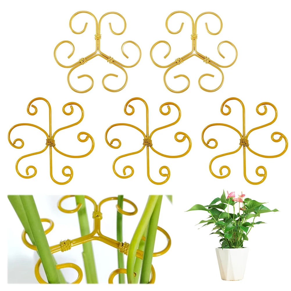 5Pcs Plant Stem Support Reusable Monstera Plant Support Plant Stem Holder Plant Stabilizer for Thriving Growth Oasis Select