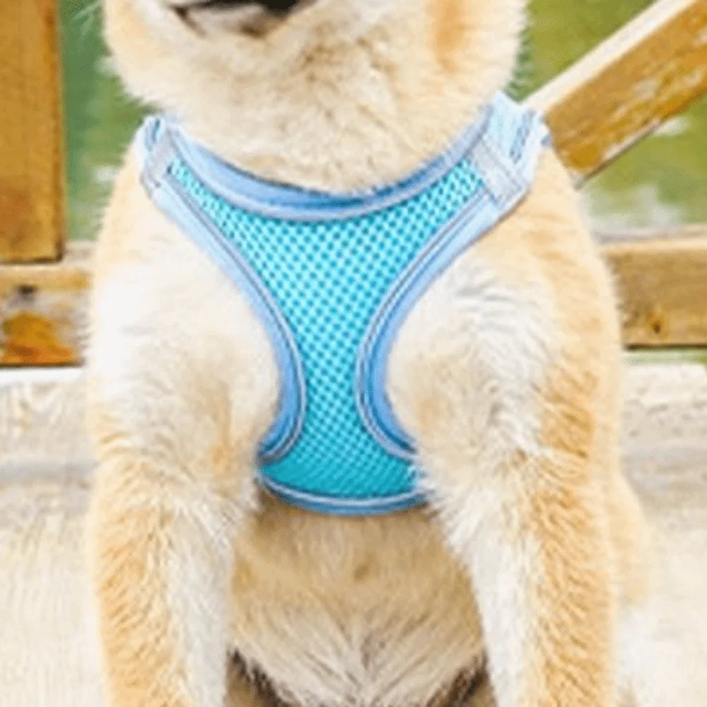 Adjustable Dog & Cat Harness Leash Set | Reflective, Escape-Proof