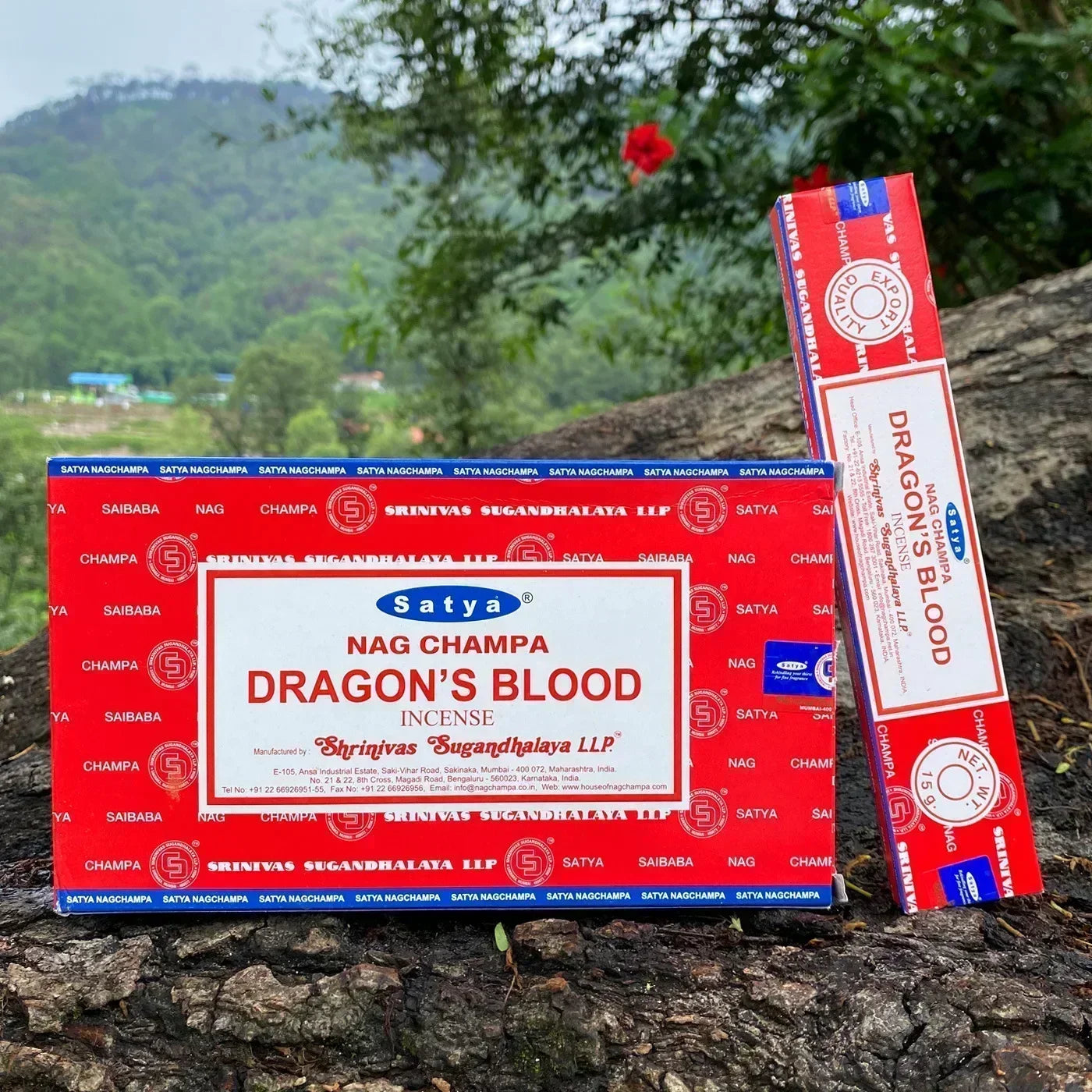 6/12boxes Dragon‘s Blood Incense Sticks Sleeping Aiding Tranquilize Mind Refreshing Scent Home Office Natural Sandalwood Satya Oasis Select DRAGON S BLOOD 12 small boxex