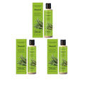 Rosemary Shampoo Hair Thickness Regrowth Soothing Scalp Anti Dandruff Oil Control Repair Split Ends Hair Refreshing Fluffy Hair Oasis Select 3pcs