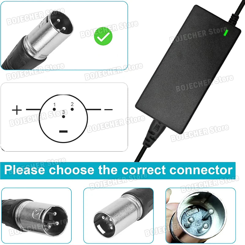 54.6V 2A Lithium Battery Charger With 3 Pin XLR Connector For 48V Lithium Battery AC100-240V Power Supply Adapters EU US Plug Oasis Select