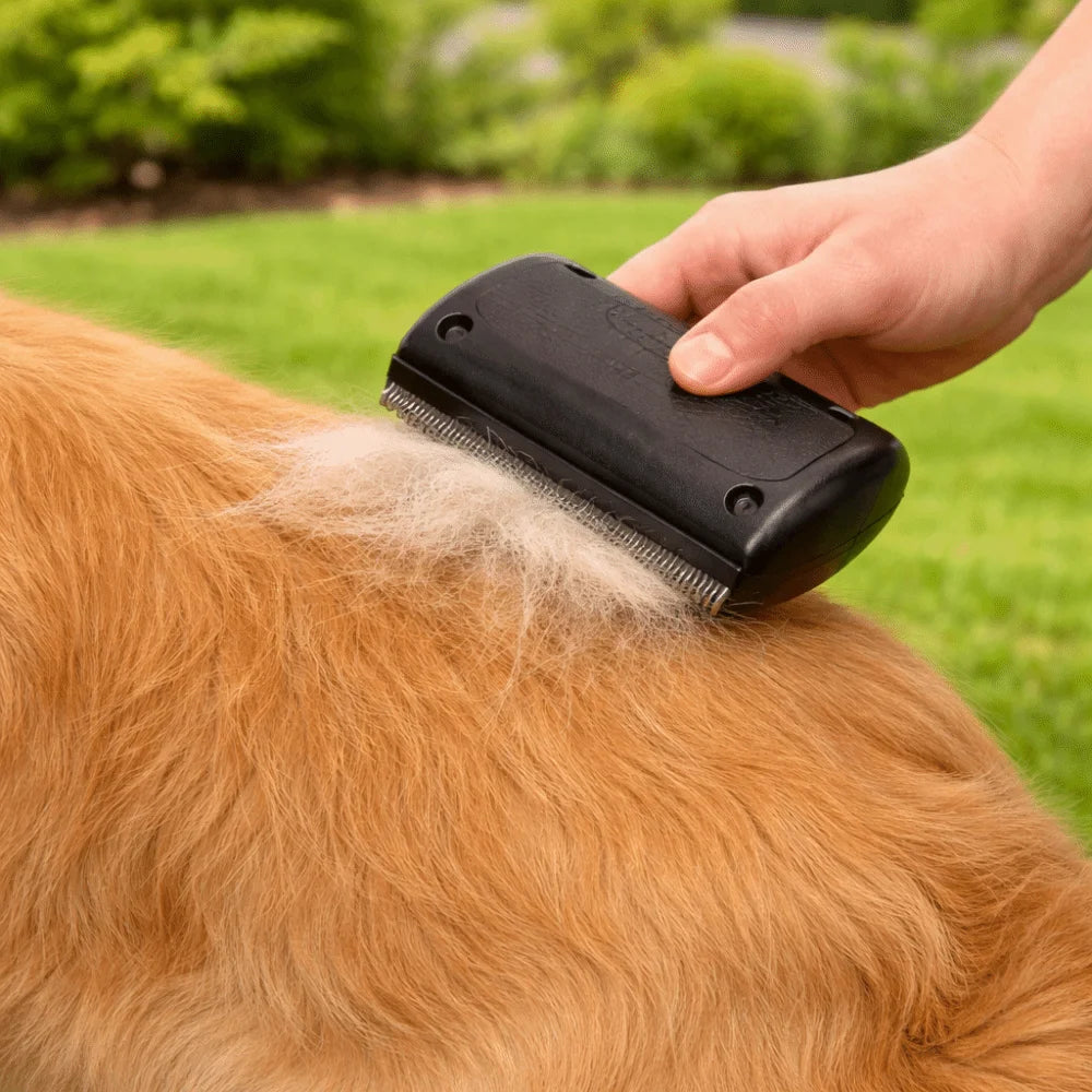Professional Dog Deshedding Comb – Pet Hair & Knot Cutter Pet Grooming Comb Oasis Select
