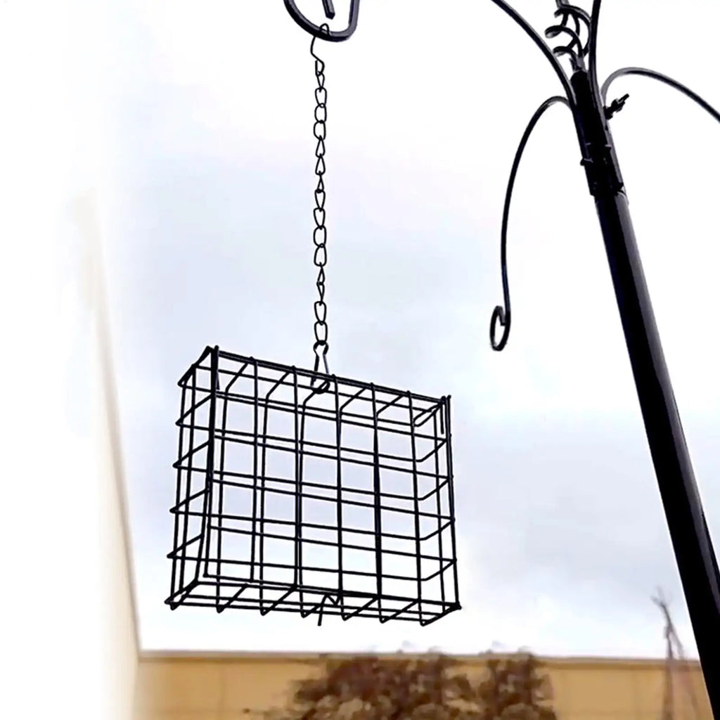 Suet Feeder Squirrel Proof Reusable Birdwatching Station Bird Suet Feeder for Balcony Garden Yard Patio Outdoor Hummingbirds Oasis Select