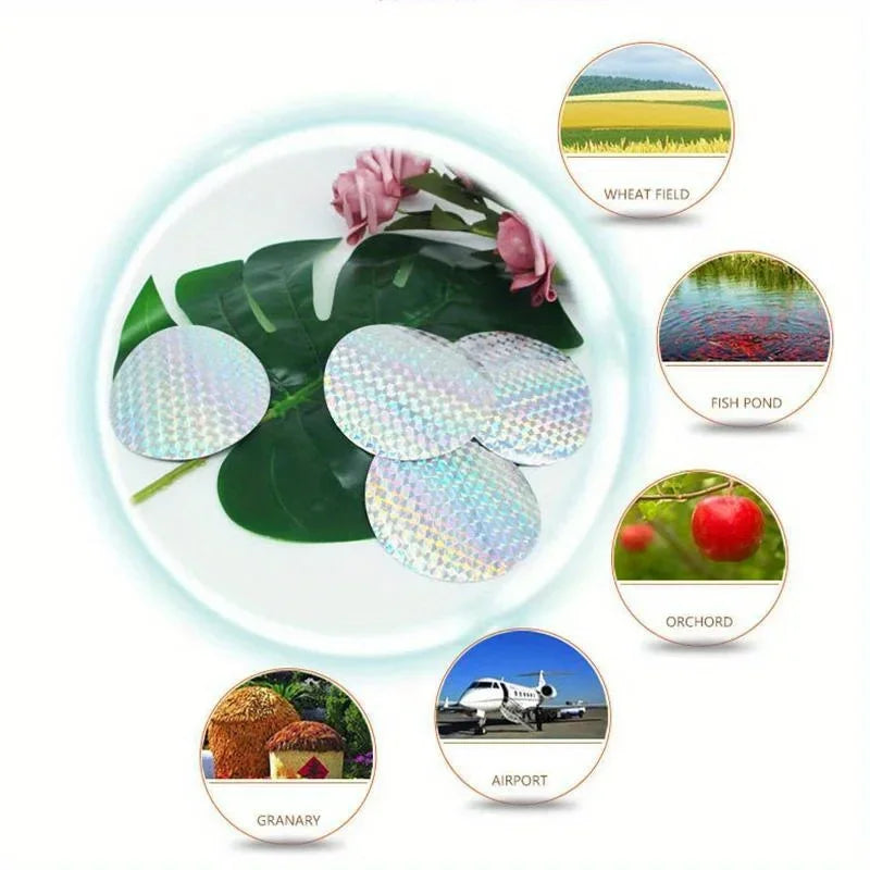 20-Pack Reflective Bird Repellent Scare Discs | Pigeon Deterrent Bird Deterrent Discs Oasis Select