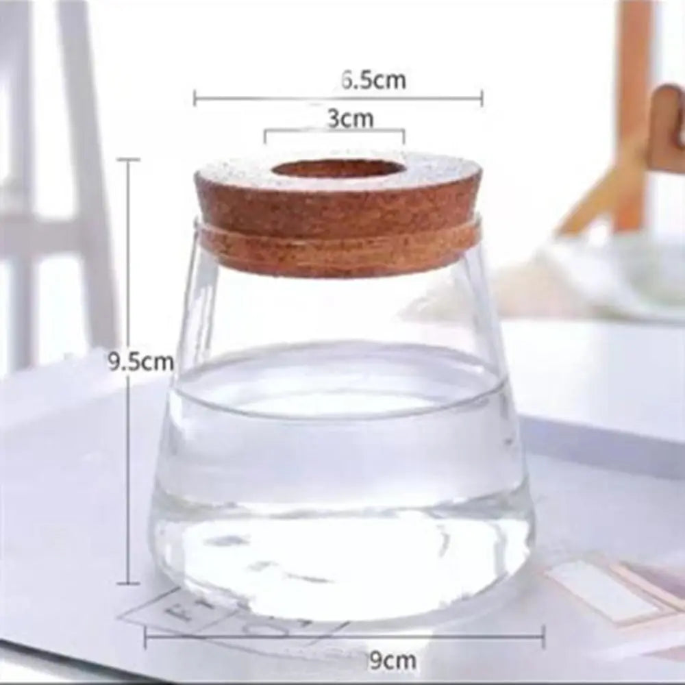 Creative Home Glass Vase Mini Transparent Hydroponic Flower Pot Potted Soilless Green Plant Terrarium Garden Decoration Oasis Select A
