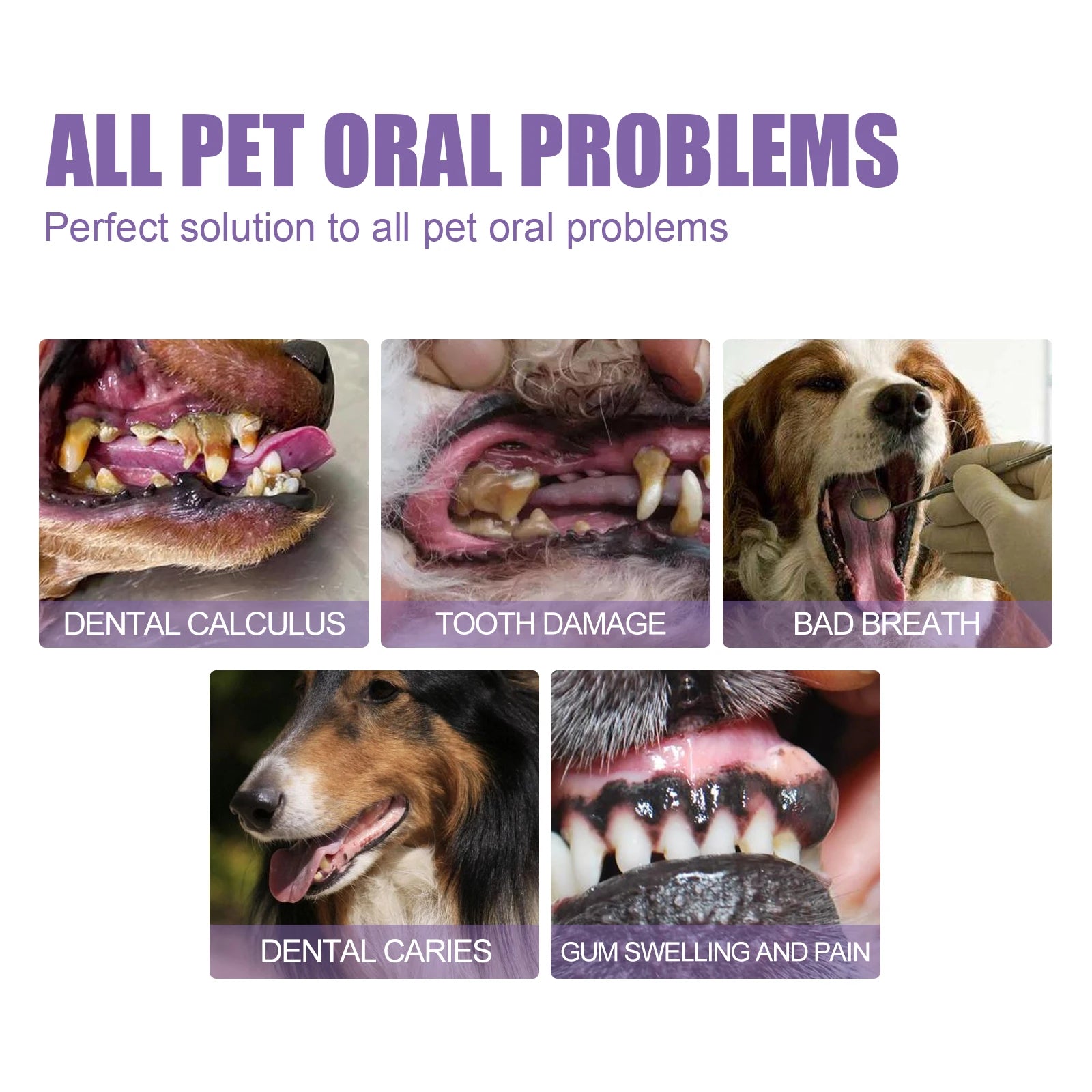 Pet Oral Repair Gel Stain Cleaner Remove Dental Stains Eliminating Odors Freshens Breath Reduce Pet Yellow Teeth Cleaning Pen Oasis Select