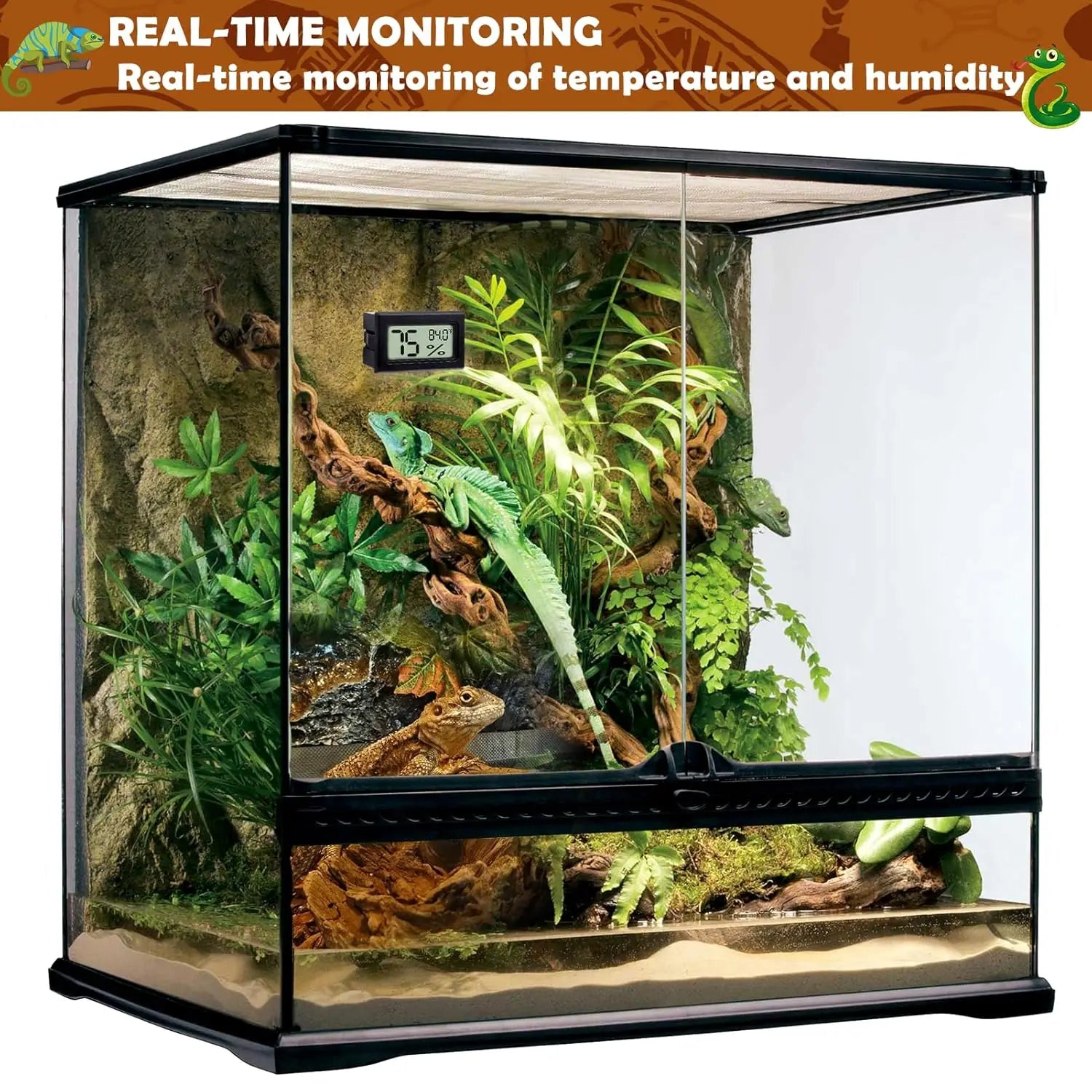 2-Pack 2-in-1 Thermometer & Hygrometer for Reptiles — Terrarium Tool for Reptiles and Amphibians Oasis Select