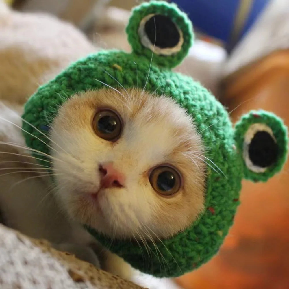 Internet Celebrity Pet Cat Lion Head Rabbit Ears Frog Bear Pet Hat Funny Headwear Oasis Select