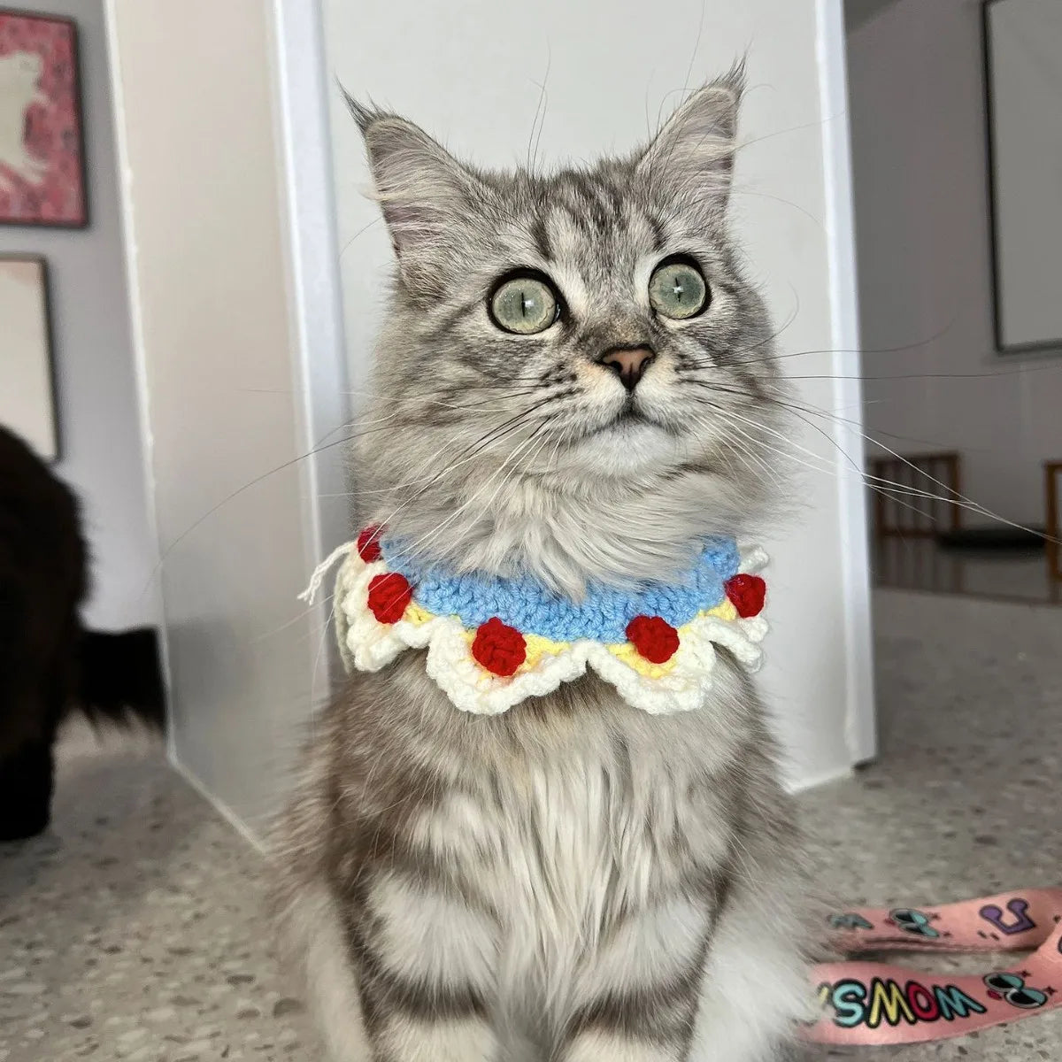Handmade Cat Collars, Pet Cat, Dog and Rabbit Accessories, Necklaces, Woven Neck Collars, Clothes, Cute Flower Scarves Oasis Select