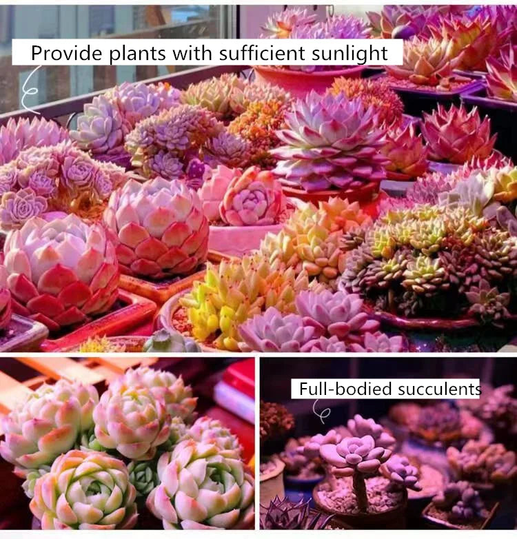 SHINEKNOT Full Spectrum LED Grow Light | Indoor Plant Lamp