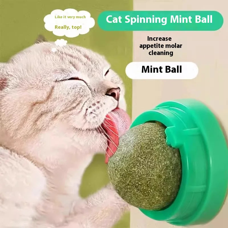 Catnip ball cat toy Self-amusement kitten supplies Catgrass ball teething stick Magic wand Tease cat stick Oasis Select