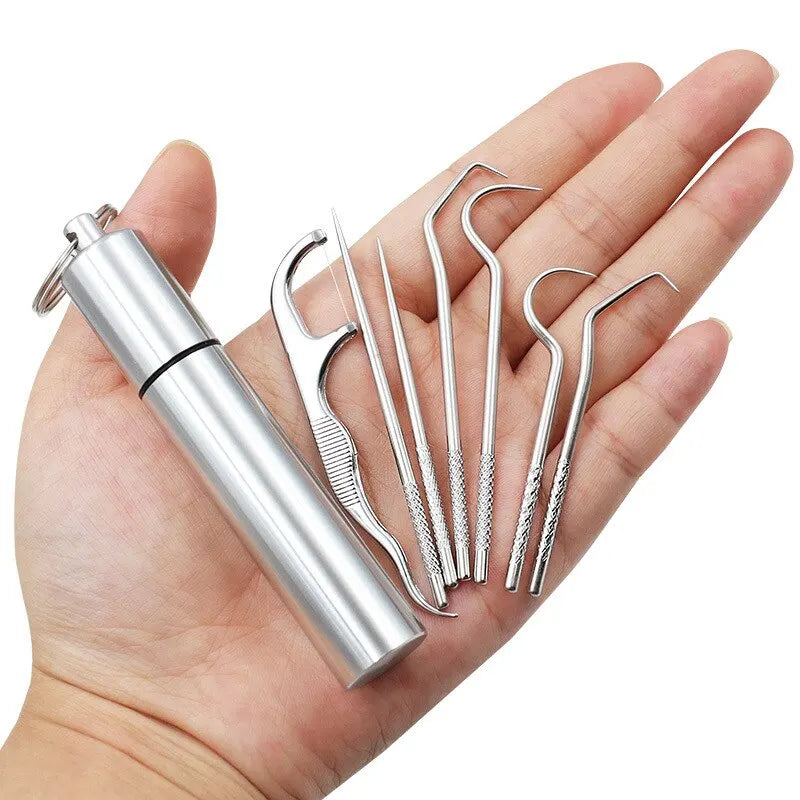 Stainless Steel Toothpick Set – 7-Piece Portable Dental Kit Dental Cleaning Set Oasis Select