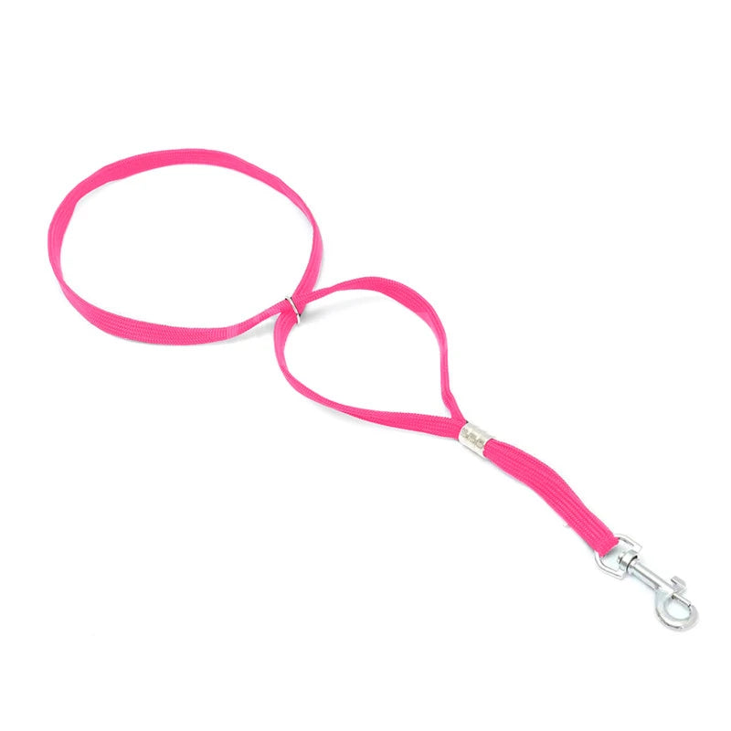 2pcs Adjustable Dogs Leash Pets Noose Loop Lock Clip Rope Cats Grooming Table Accessories Arm Bath Nylon Restraint Ropes Harness Oasis Select