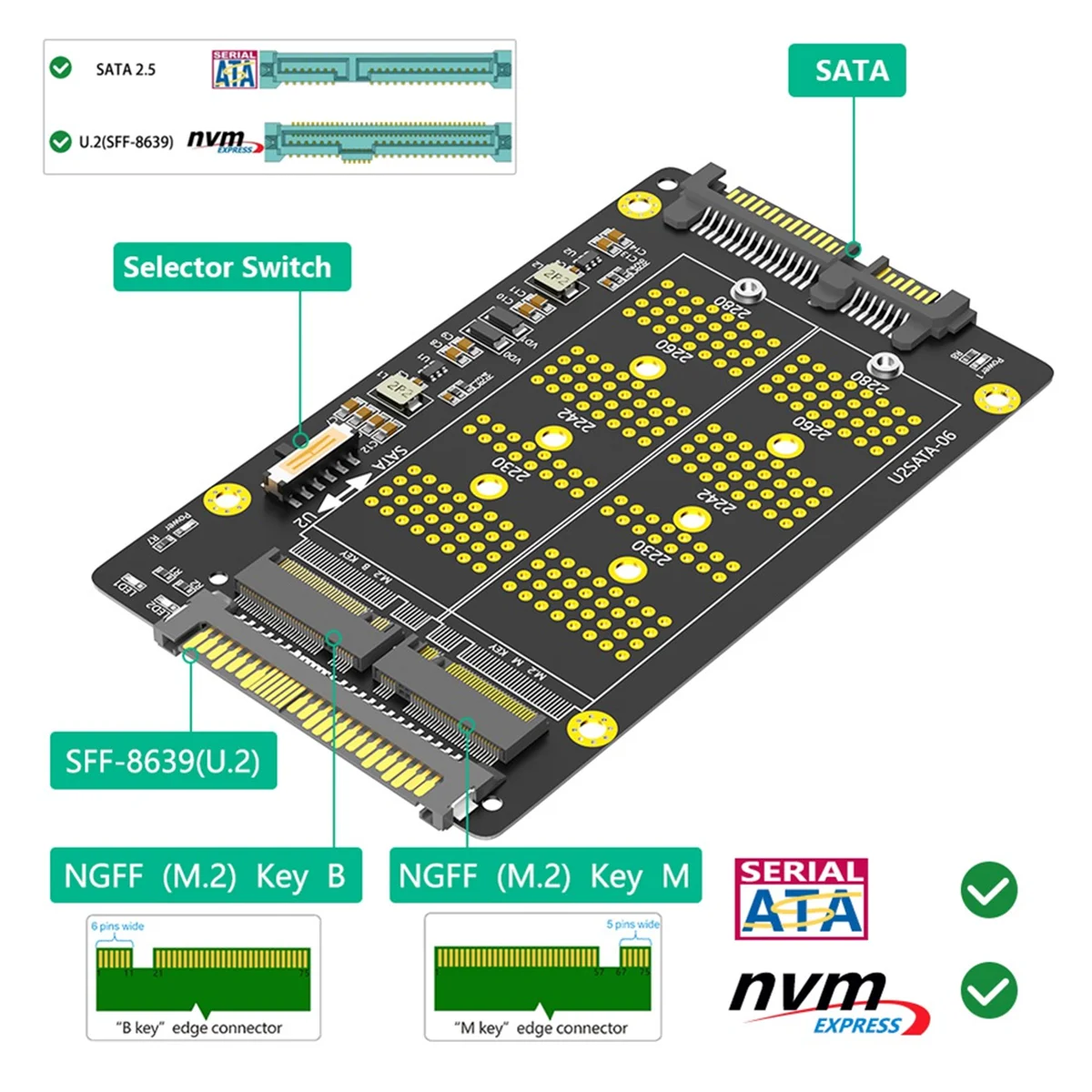 2 in 1 Combo M.2(NGFF) NVME PCI-E SSD to U.2 SFF-8639 & M.2( NGFF) SATA SSD to SATA Adapter Oasis Select