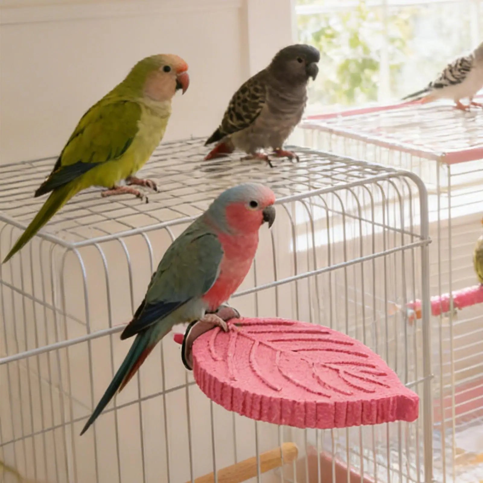 Cockatiel Perch Parrot Stand Toys Resin Bird Hamster Perch Platforms Stands Playground Bird Supplies Bird Cage Accessories Perch Oasis Select