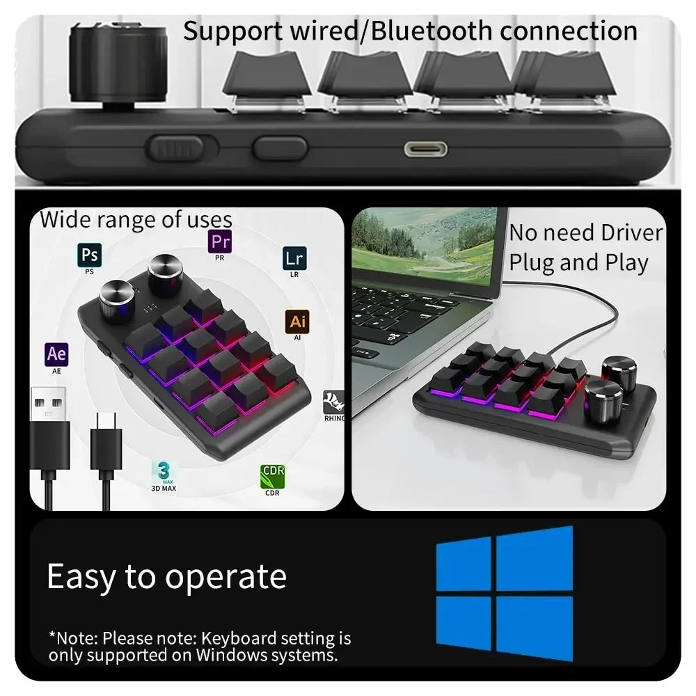 12 Keys 2 Knob RGB Programming Macro Gaming Knob Keypads Mini Custom Programming Keyboard USB Mechanical Keyboard for Photoshop Oasis Select